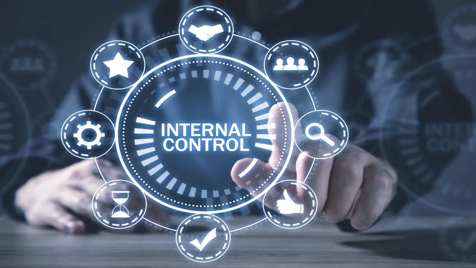 Internal Financial Controls (IFC)